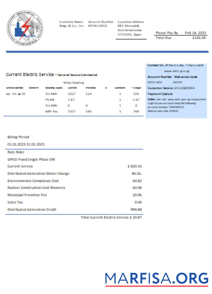 Downloadable Egyptian Electricity utility business bill, SCR sample